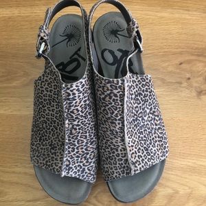Leopard wedge